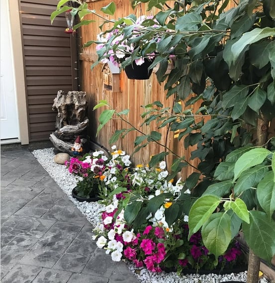 30 jardim pequeno com petunias @vj garden