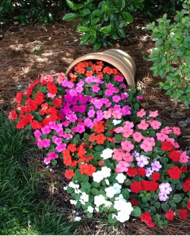 31 jardim decorado com petunias coloridas Pinterest