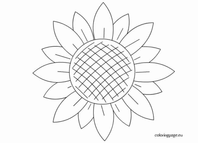 11 molde de flor de girassol gratis Coloring Page