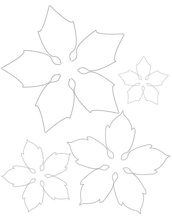 32 molde de flor de natal para imprimir Pinterest