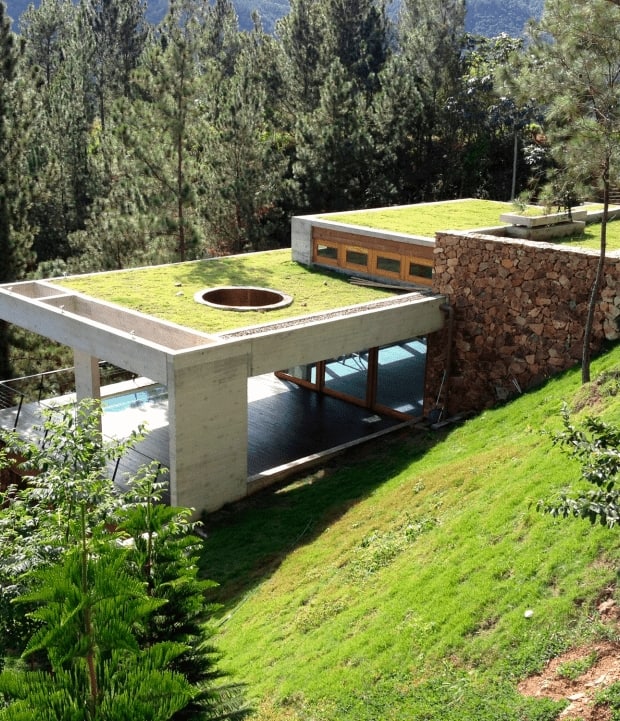 4 tipo de casa sem telhado Studio Telhado Jardim