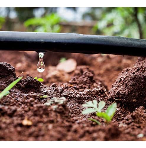 4 tipo de irrigacao simples para jardim Mercado Livre