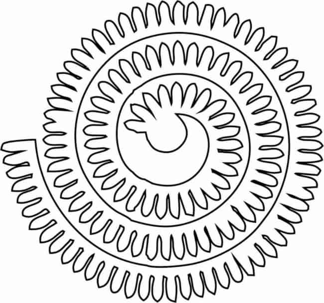 52 flor com molde em espiral Pinterest