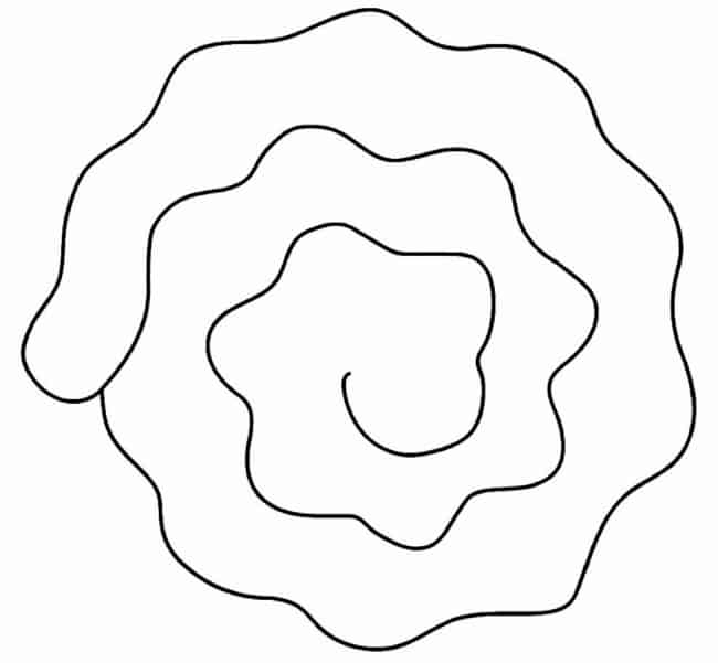 55 molde espiral simples para flor Pinterest