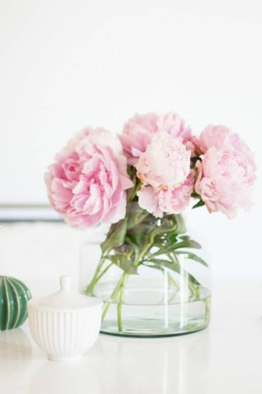 24 flores de peonia Pinterest