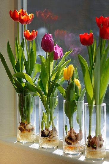 59 decoracao com tulipas Pinterest