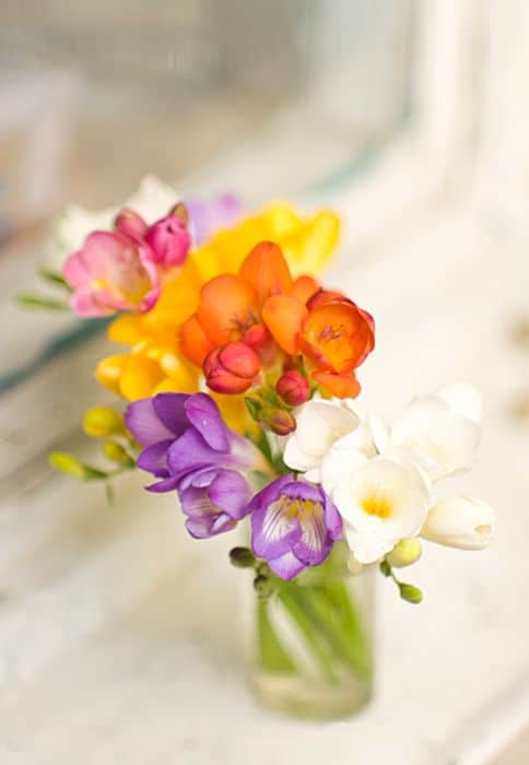 64 decoracao com flores de Fresia Pinterest