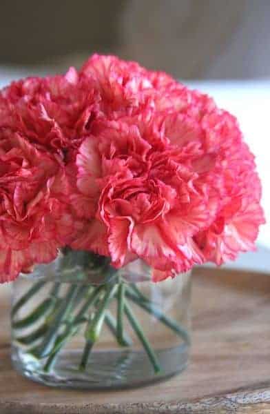 65 arranjo de flor de cravo para decoracao Pinterest