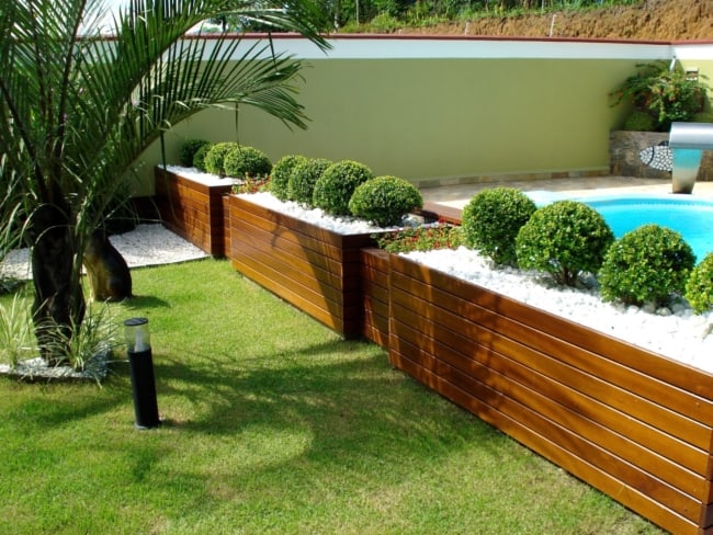 10 arbusto buxinho para piscina Mirian Decor