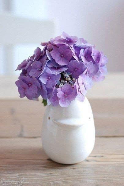 37 vaso com hortensia roxa Pinterest