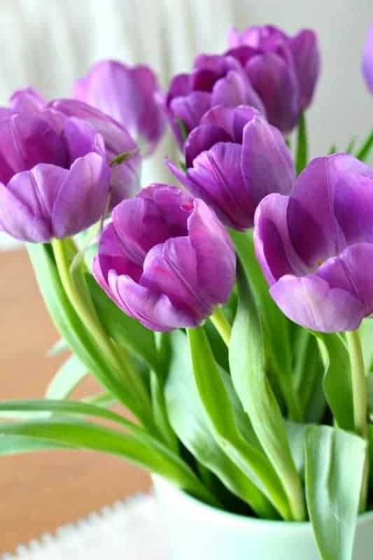 52 vaso com tulipas na decoracao Pinterest