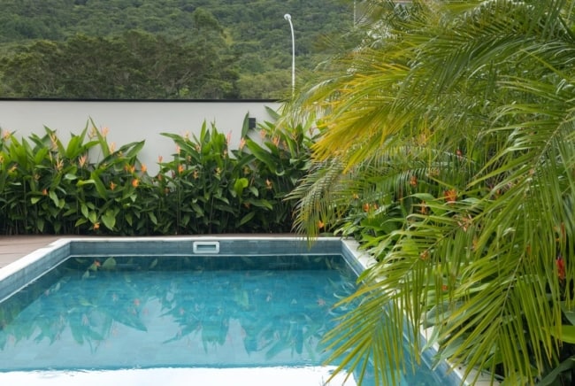 6 area da piscina com planta tropical Ave do Paraiso Ana Trevisan