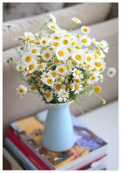 flores brancas
