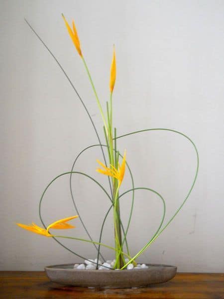 Ikebana amarela