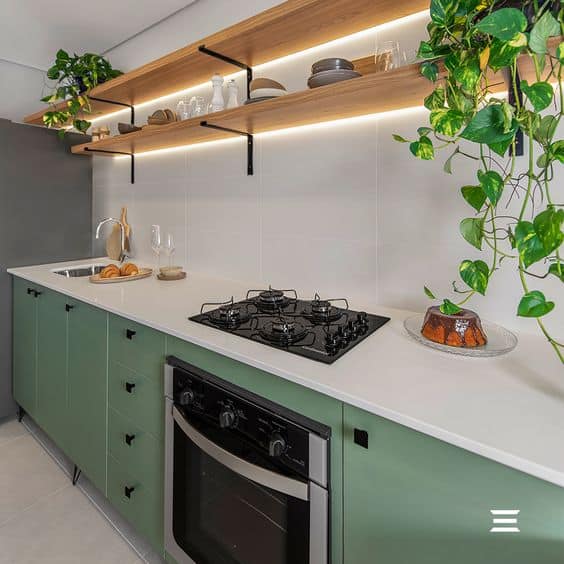 11 cozinha decorada com planta jiboia Pinterest