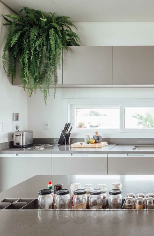 13 cozinha moderna com samambaia Pinterest