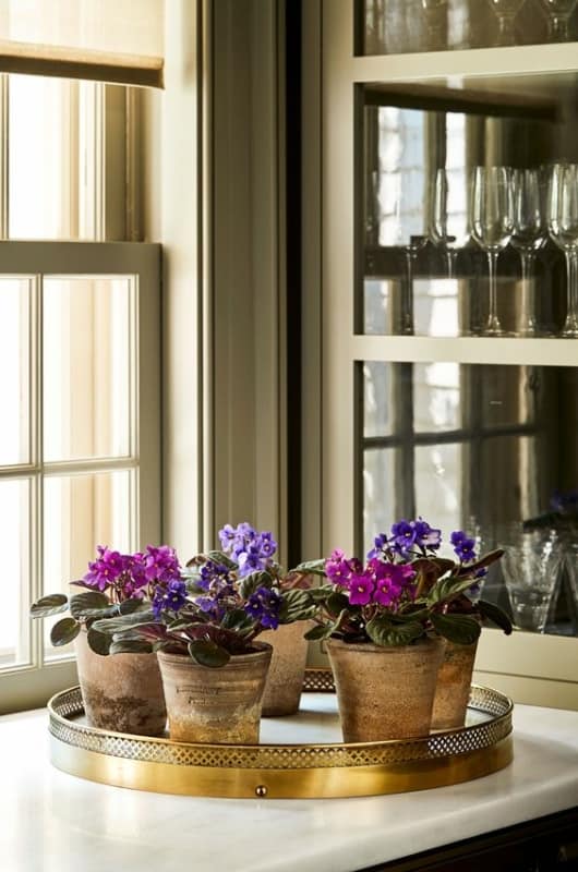 17 flores para decorar cozinha Martha Stewart Living