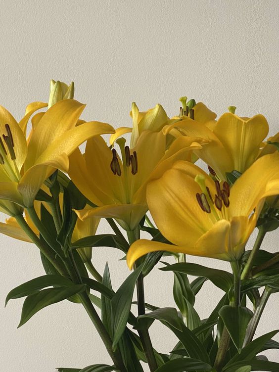 23 arranjo com flores de lirio amarelo Pinterest