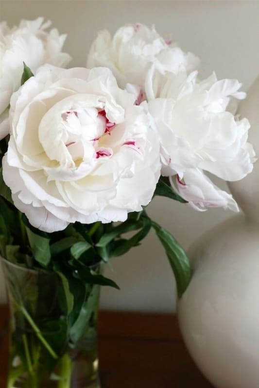 25 arranjo com flores de peonia branca Pinterest