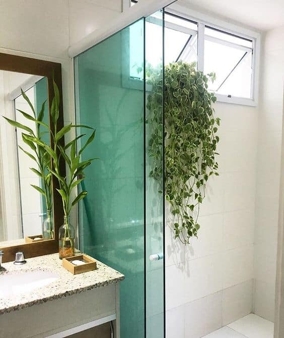 26 banheiro decorado com vaso de peperomia pendente Pinterest