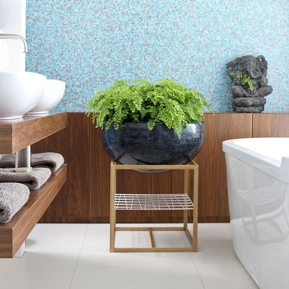 27 banheiro moderno com vaso de avenca Pinterest