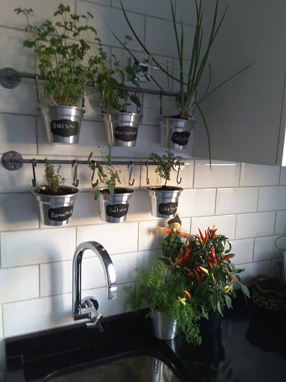 5 cozinha com plantas e ervas Pinterest