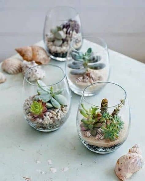 vidros com mini terrario de suculentas
