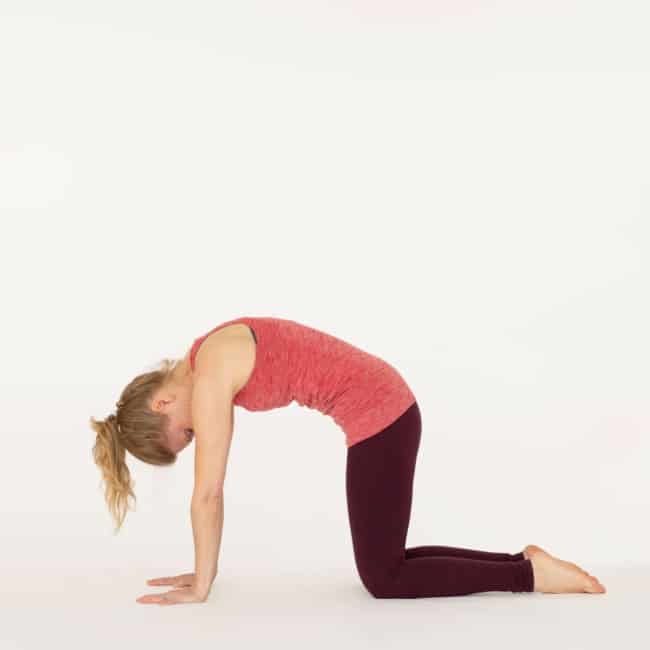 16 como fazer exercicio de ioga Ekhart Yoga