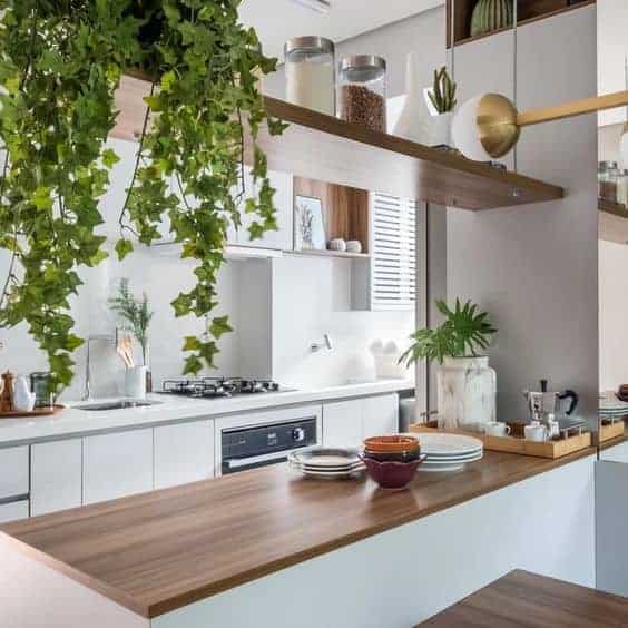 16 cozinha decorada com vaso de hera SP Estudio