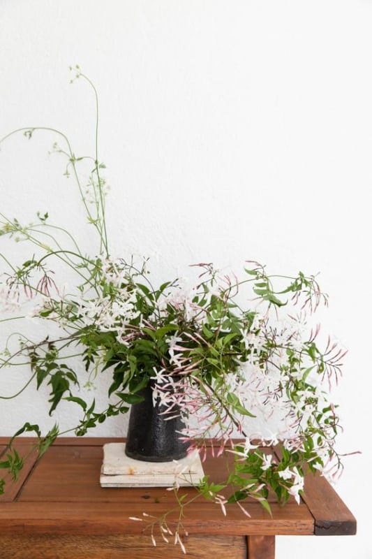 19 vaso com flores delicadas de jasmim Gardenista