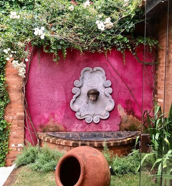 37 jardim com rosa trepadeira branca @verdetotalpaisagismo