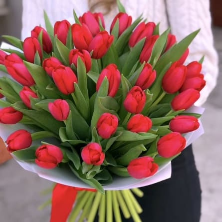 44 buque de tulipas vermelhas Florarie online Moldova