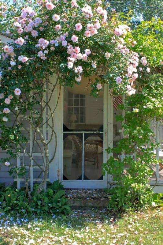 6 entrada de casa com rosa terpadeira Gardenista