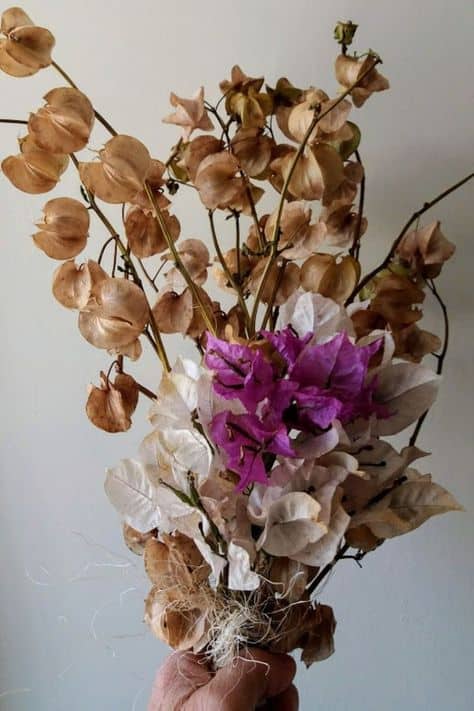 flores secas como usar