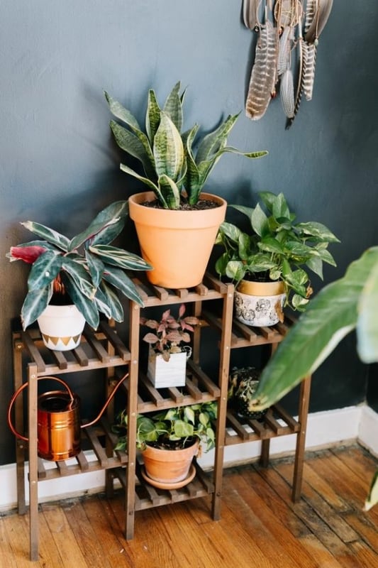 10 suporte de plantas em madeira Pinterest