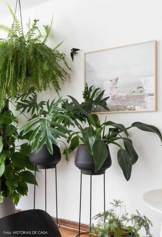 15 plantas em suporte preto Historias de Casa