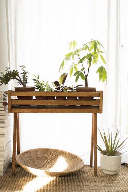 2 plantas em suporte de madeira Pinterest