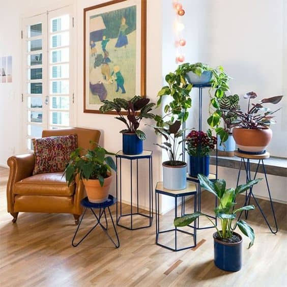 22 plantas em suportes de ferro Casa Vogue