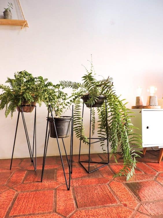 24 plantas em suportes simples de ferro Pinterest