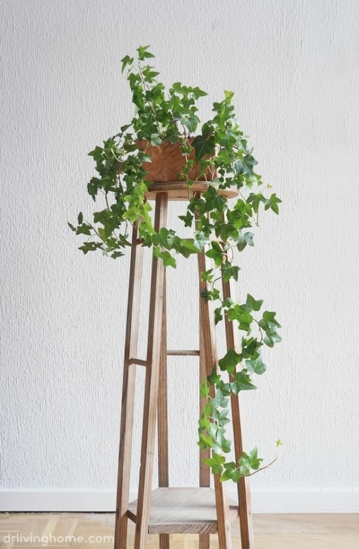 3 suporte alto e de madeira para plantas drlivinghome