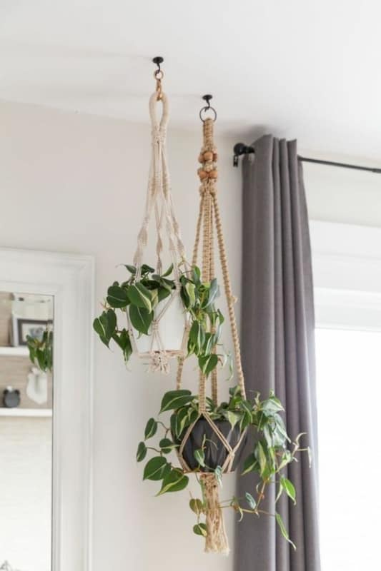 31 plantas pendentes em suportes pendurados no teto Pinterest