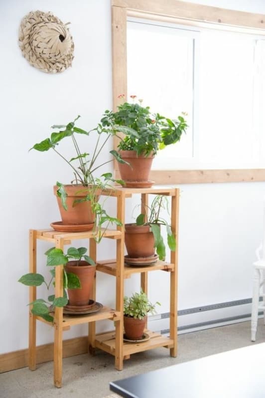 5 modelo de suporte de plantas em madeira Pinterest