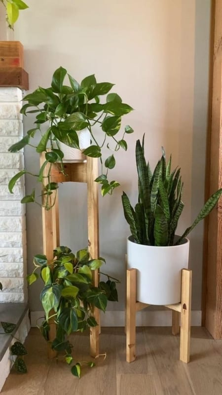 7 modelo de suporte de planta em madeira Pinterest