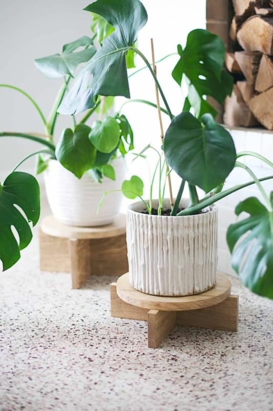 8 plantas em suportes simples de madeira Pinterest