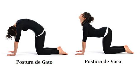 postura yoga gato e vaca