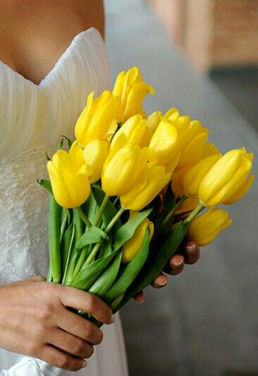 12 buque de noiva de tulipa amarela Pinterest