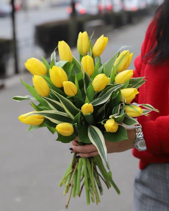 15 buque amarelo de tulipas Pinterest