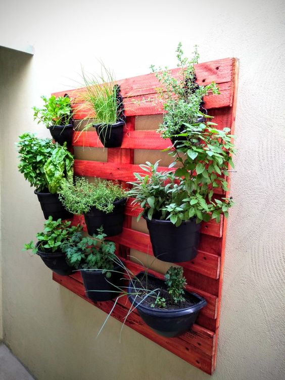 15 horta vertical com vasos simples Pinterest