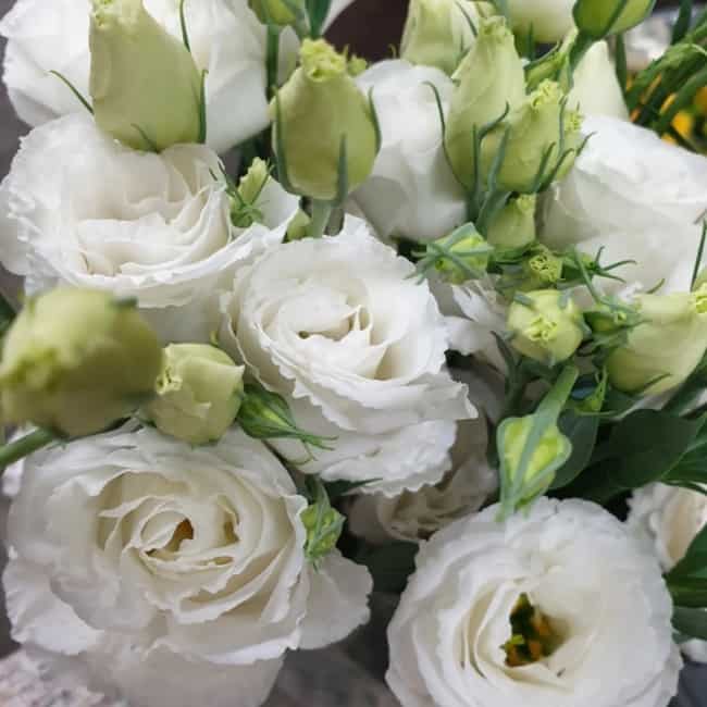 16 flores brancas de lisianto Bloom Brokers