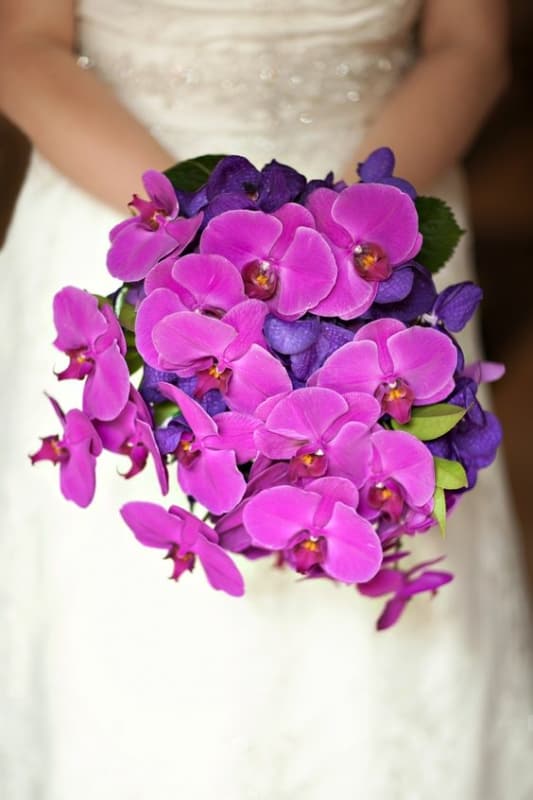 17 buque de noiva roxo com orquideas Pinterest
